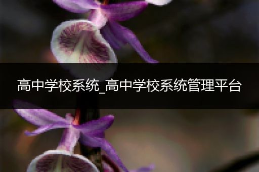 高中学校系统_高中学校系统管理平台