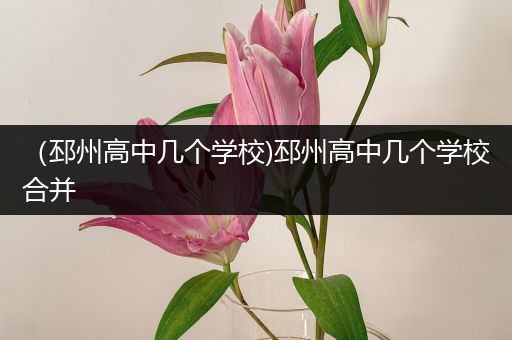 （邳州高中几个学校)邳州高中几个学校合并