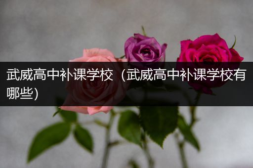 武威高中补课学校（武威高中补课学校有哪些）