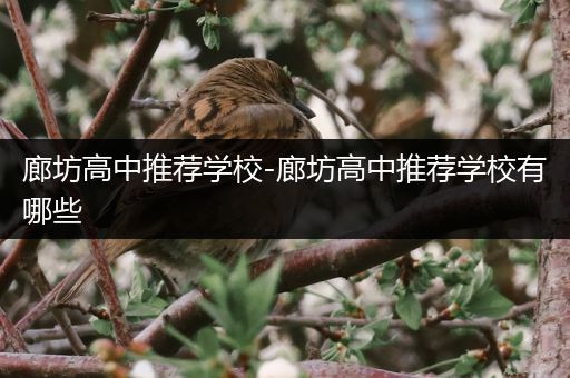 廊坊高中推荐学校-廊坊高中推荐学校有哪些