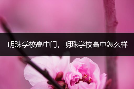 明珠学校高中门，明珠学校高中怎么样