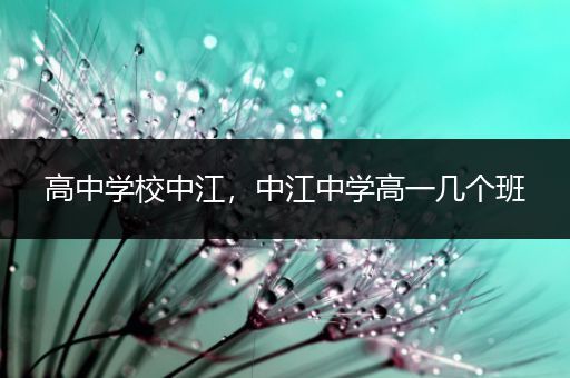 高中学校中江，中江中学高一几个班