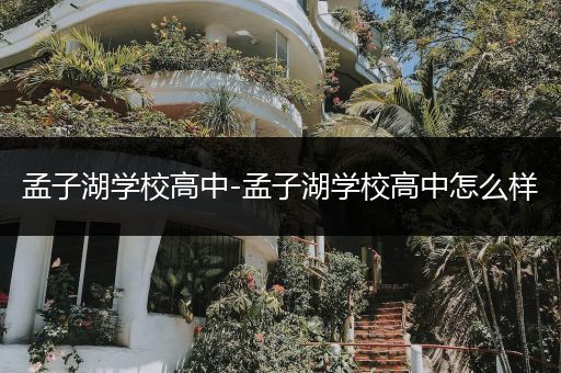 孟子湖学校高中-孟子湖学校高中怎么样