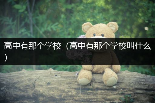 高中有那个学校（高中有那个学校叫什么）
