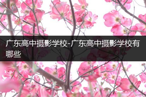 广东高中摄影学校-广东高中摄影学校有哪些