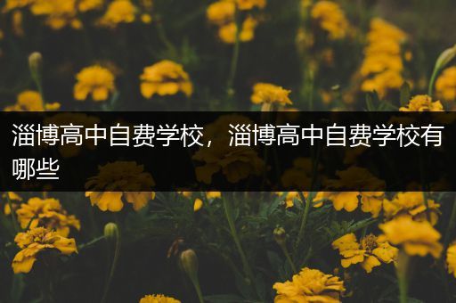 淄博高中自费学校，淄博高中自费学校有哪些