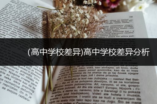 （高中学校差异)高中学校差异分析