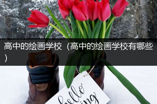 高中的绘画学校（高中的绘画学校有哪些）