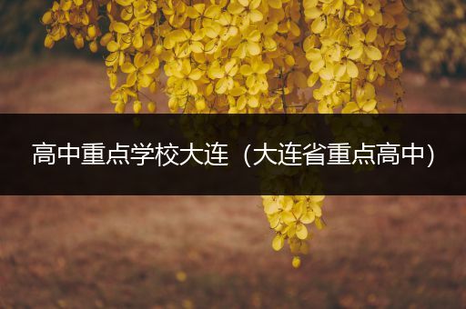 高中重点学校大连（大连省重点高中）