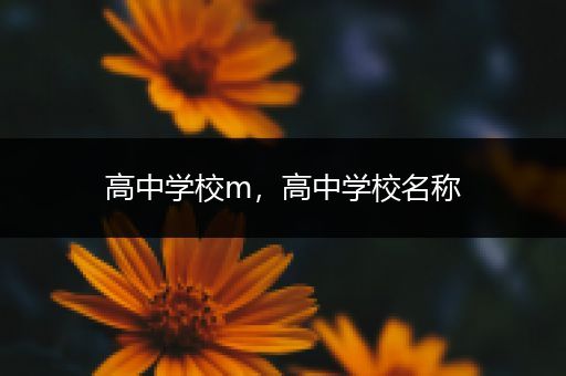 高中学校m，高中学校名称