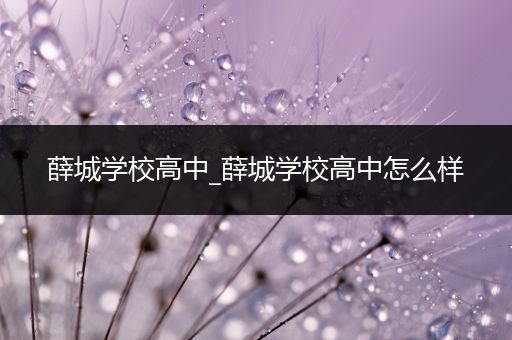 薛城学校高中_薛城学校高中怎么样