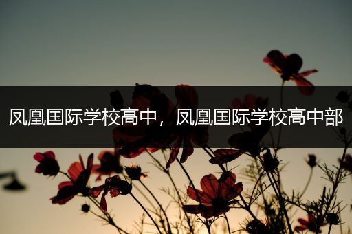 凤凰国际学校高中，凤凰国际学校高中部