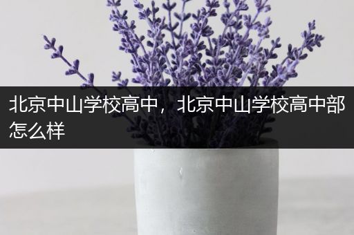 北京中山学校高中，北京中山学校高中部怎么样