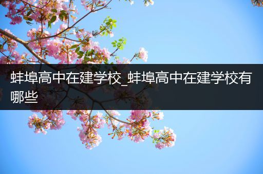蚌埠高中在建学校_蚌埠高中在建学校有哪些