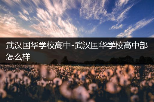 武汉国华学校高中-武汉国华学校高中部怎么样