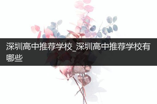 深圳高中推荐学校_深圳高中推荐学校有哪些