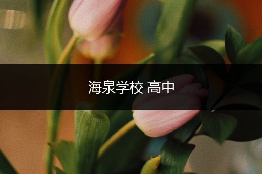 海泉学校 高中