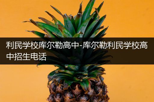利民学校库尔勒高中-库尔勒利民学校高中招生电话