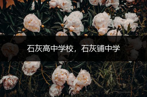 石灰高中学校，石灰铺中学