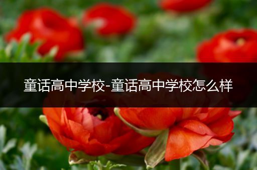 童话高中学校-童话高中学校怎么样