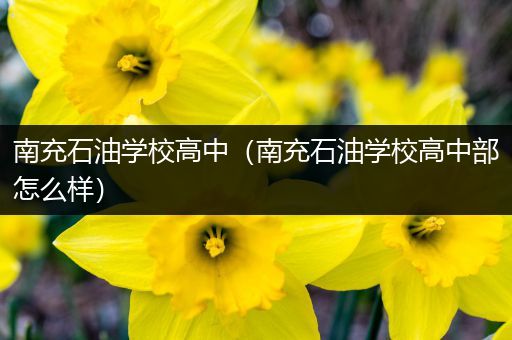 南充石油学校高中（南充石油学校高中部怎么样）