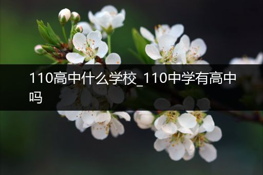 110高中什么学校_110中学有高中吗