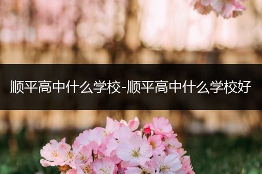 顺平高中什么学校-顺平高中什么学校好