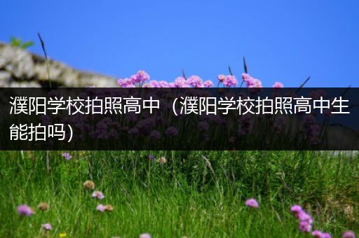 濮阳学校拍照高中（濮阳学校拍照高中生能拍吗）