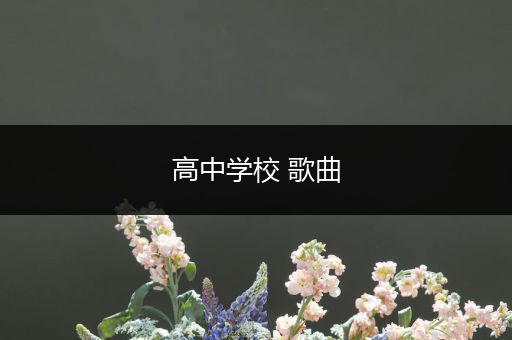 高中学校 歌曲