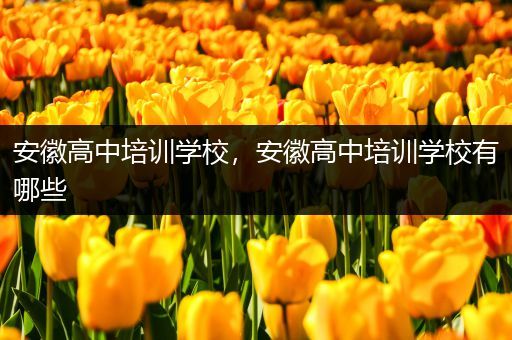 安徽高中培训学校，安徽高中培训学校有哪些