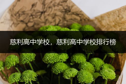 慈利高中学校，慈利高中学校排行榜