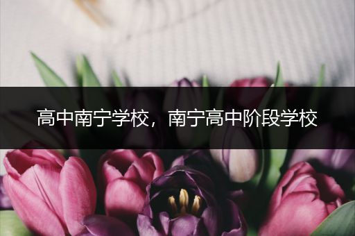 高中南宁学校，南宁高中阶段学校