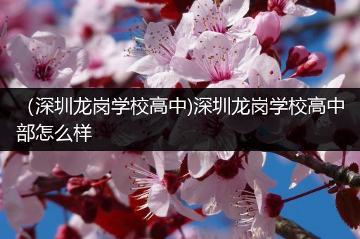 （深圳龙岗学校高中)深圳龙岗学校高中部怎么样