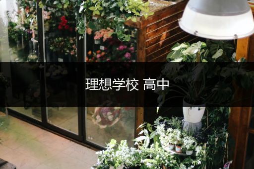 理想学校 高中