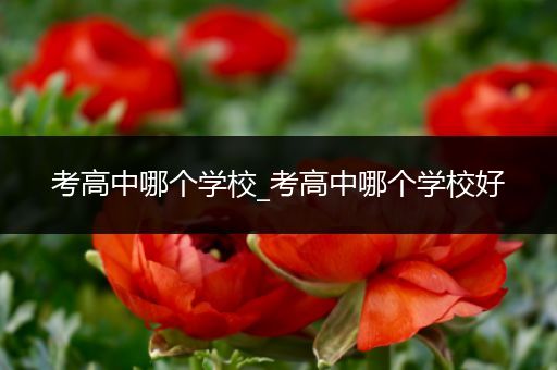 考高中哪个学校_考高中哪个学校好