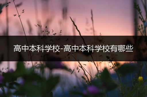 高中本科学校-高中本科学校有哪些