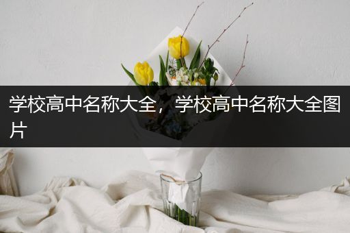 学校高中名称大全，学校高中名称大全图片