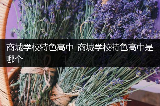 商城学校特色高中_商城学校特色高中是哪个