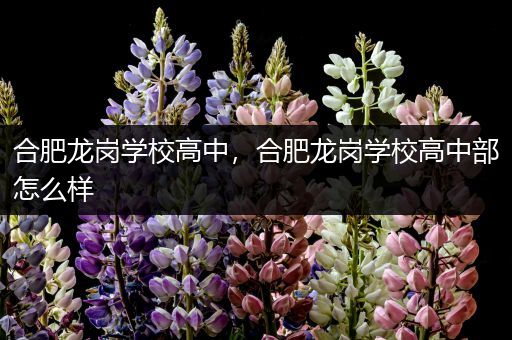 合肥龙岗学校高中，合肥龙岗学校高中部怎么样