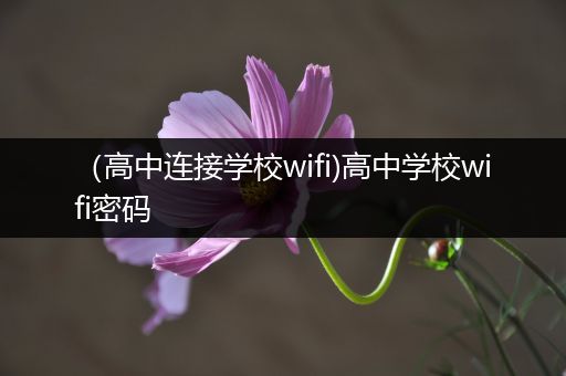 （高中连接学校wifi)高中学校wifi密码
