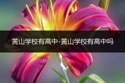 黄山学校有高中-黄山学校有高中吗