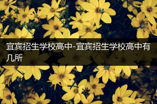 宜宾招生学校高中-宜宾招生学校高中有几所