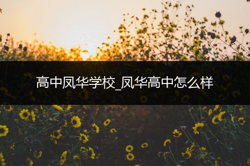 高中凤华学校_凤华高中怎么样
