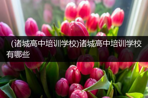 （诸城高中培训学校)诸城高中培训学校有哪些
