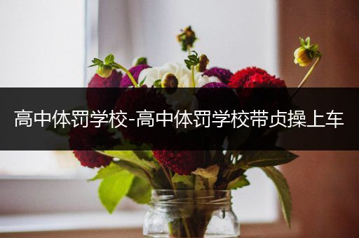 高中体罚学校-高中体罚学校带贞操上车
