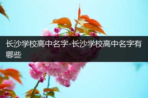 长沙学校高中名字-长沙学校高中名字有哪些