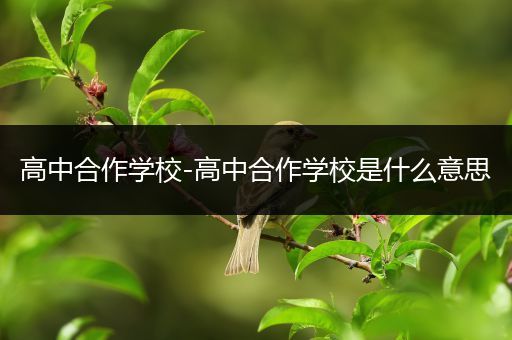 高中合作学校-高中合作学校是什么意思