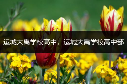 运城大禹学校高中，运城大禹学校高中部