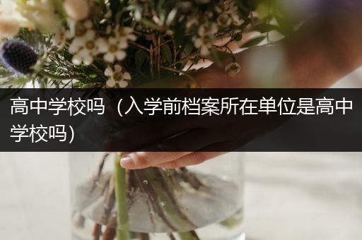 高中学校吗（入学前档案所在单位是高中学校吗）
