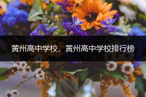 黄州高中学校，黄州高中学校排行榜